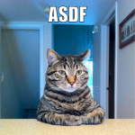 asdf