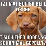 (und war rot und hat gejuckt) ja ist fÃ&fra