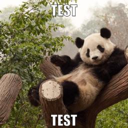 test