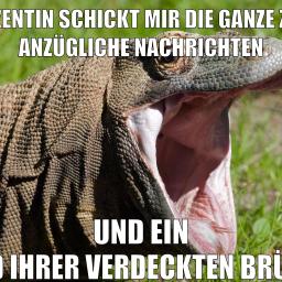 DickeRadieschens RealLife Abenteuer