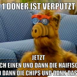 DickeRadieschens RealLife Abenteuer