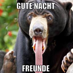 marina und pr0gramm stinken