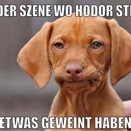halt das tor hodor