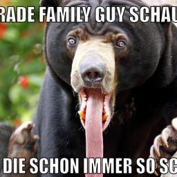 marina und pr0gramm stinken