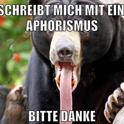 marina und pr0gramm stinken