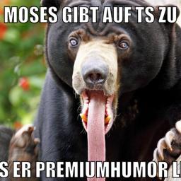 marina und pr0gramm stinken