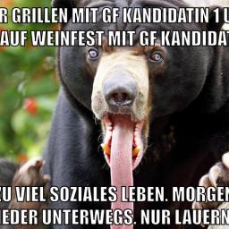 marina und pr0gramm stinken