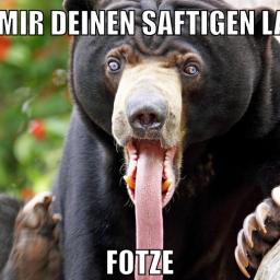 marina und pr0gramm stinken