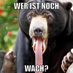 marina und pr0gramm stinken