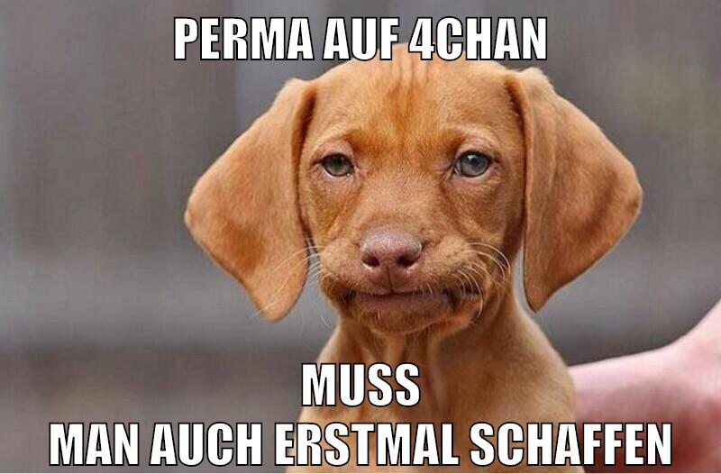 perma auf 4chan muss man auch erstmal schaffen